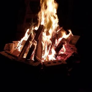 Meet your Posher, Gene